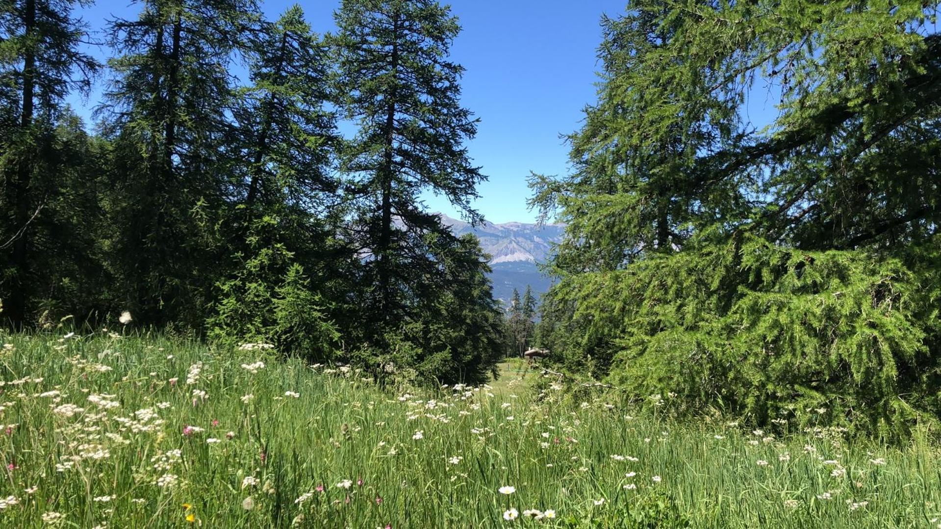Adonis Le Chastellan Hotell Valberg Exteriör bild